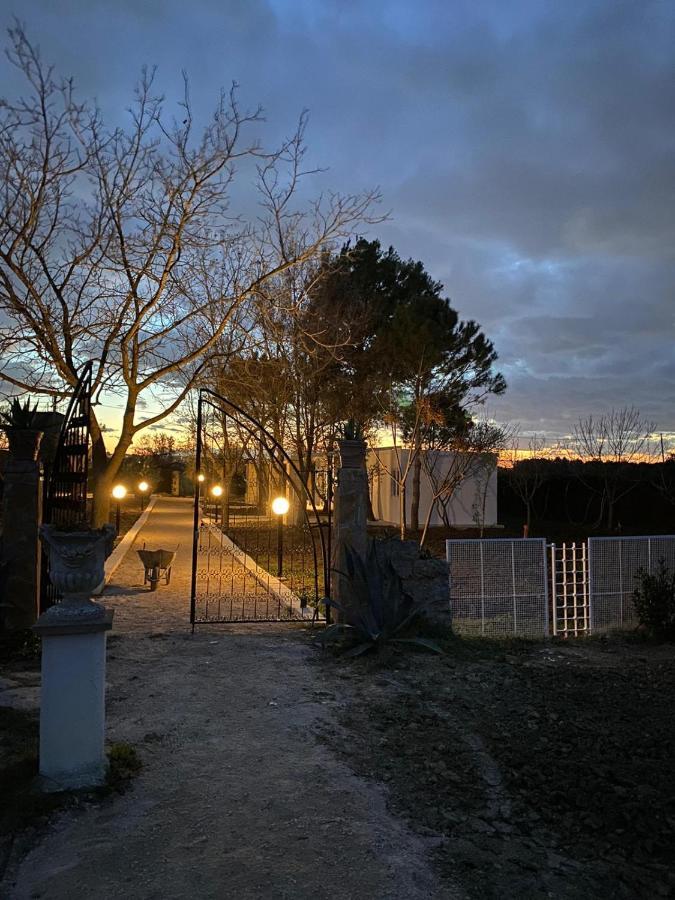Agriturismo Tenuta La Monaca Aradeo Dış mekan fotoğraf