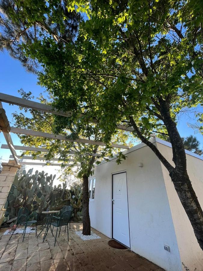 Agriturismo Tenuta La Monaca Aradeo Dış mekan fotoğraf