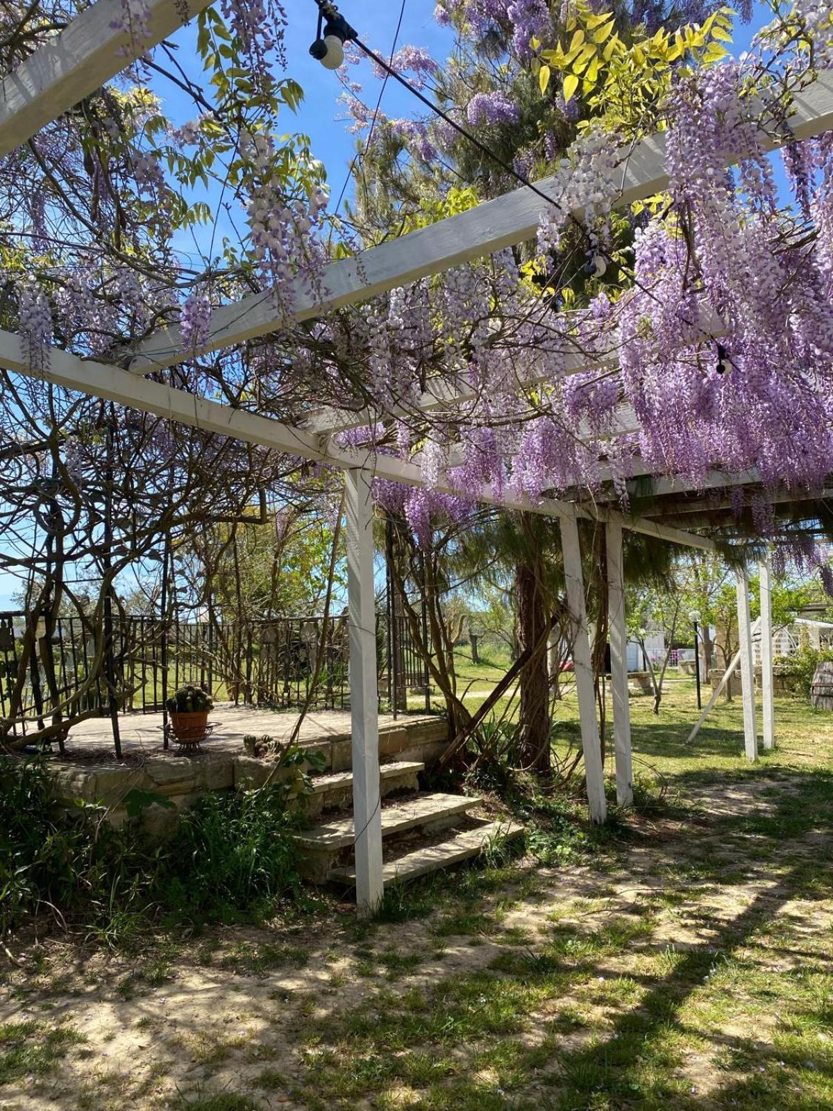 Agriturismo Tenuta La Monaca Aradeo Dış mekan fotoğraf